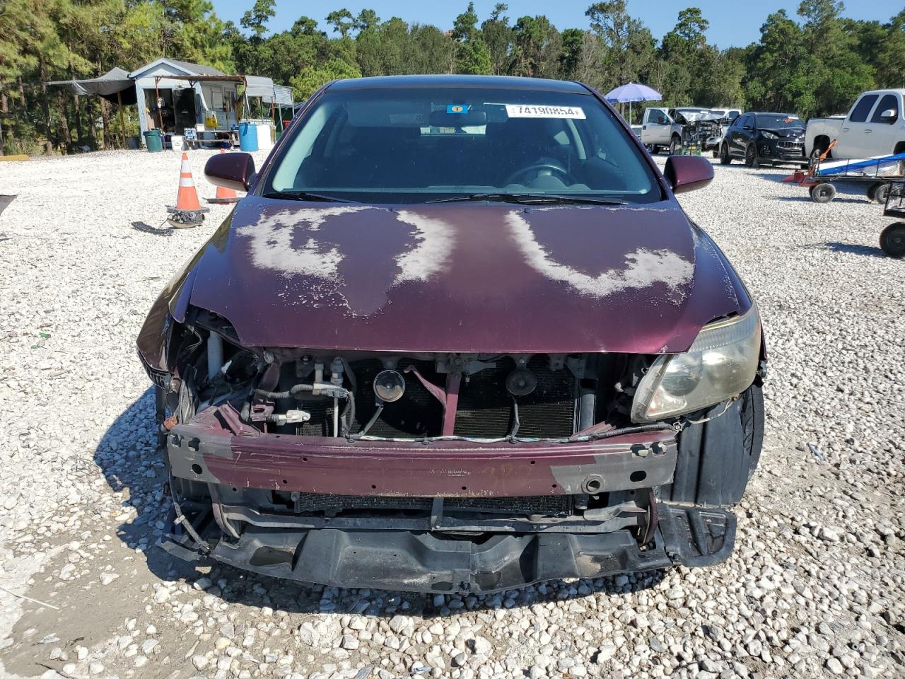 Lot #2976916655 2005 TOYOTA SCION TC