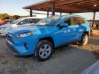 2019 TOYOTA RAV4 XLE - JTMP1RFV1KD506287