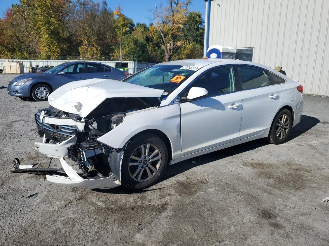 Lot #2976789779 2016 HYUNDAI SONATA SE