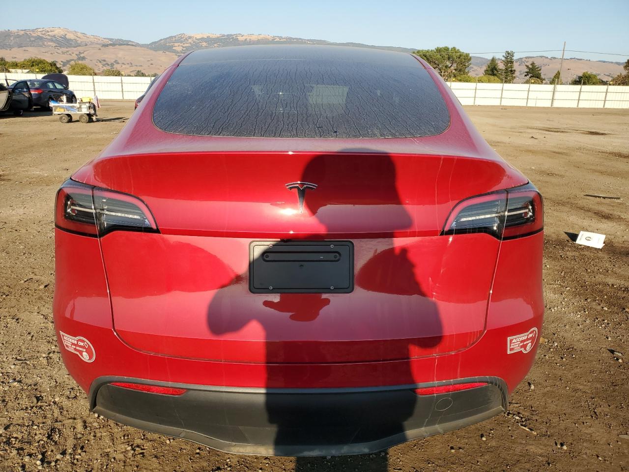 Lot #2990977235 2023 TESLA MODEL Y