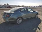 HONDA ACCORD EXL photo