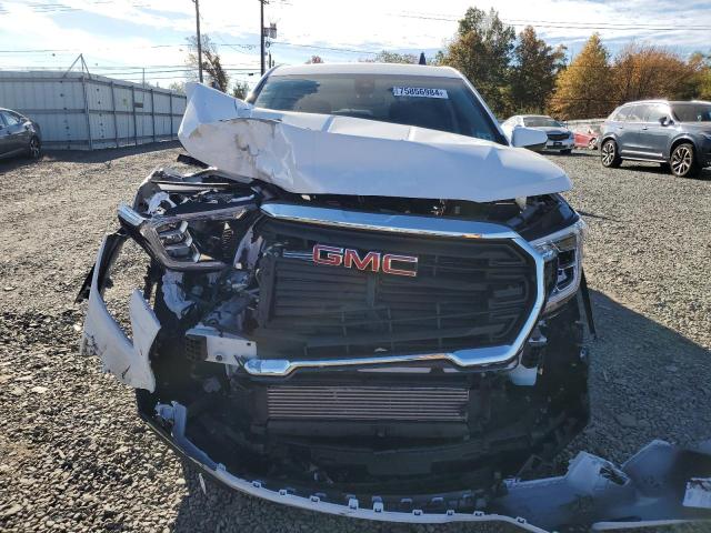 2024 GMC TERRAIN SL - 3GKALTEG0RL332849