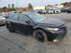 TOYOTA CAMRY L photo