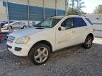 MERCEDES-BENZ ML 350 photo