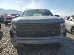 Lot #2957576454 2024 CHEVROLET SILVERADO