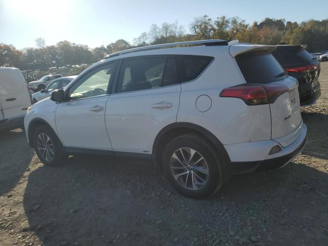 VIN JTMRJREV7GD045422 2016 Toyota RAV4, Xle no.2