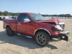 Lot #2957646996 2009 FORD F150