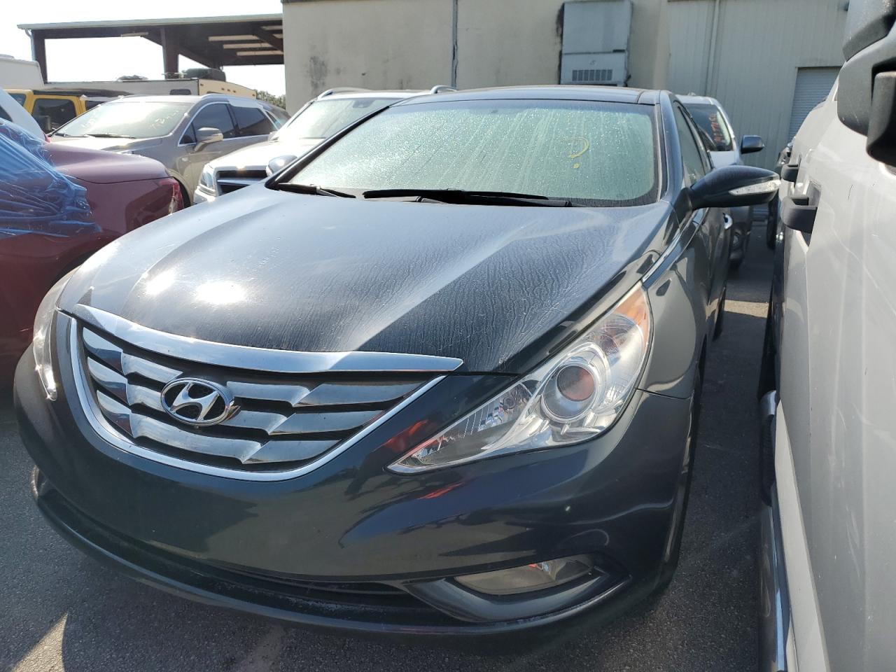 Lot #3003300129 2013 HYUNDAI SONATA SE