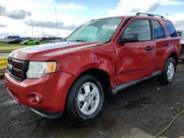 2010 FORD ESCAPE XLT 2010