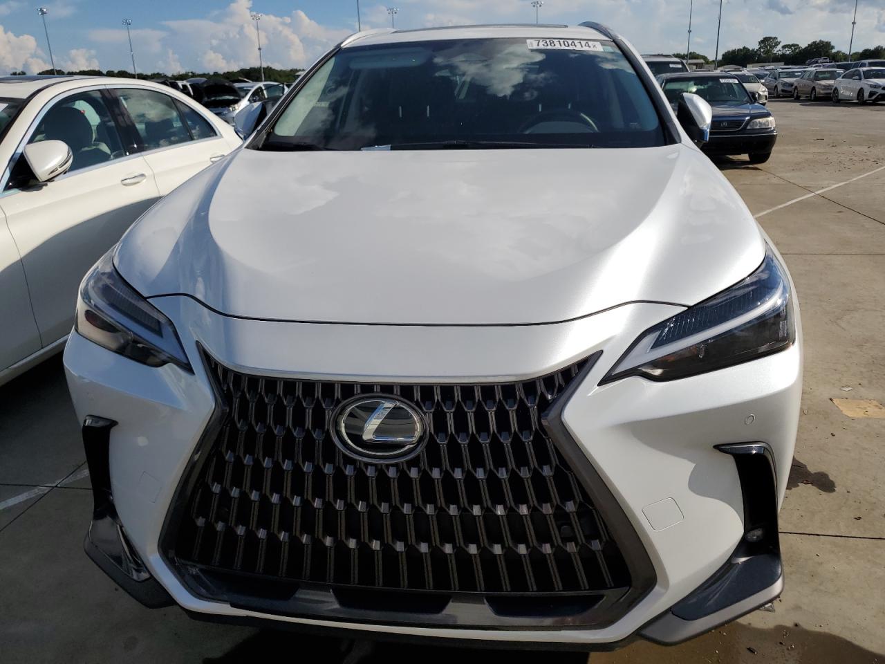 Lot #2996151402 2024 LEXUS NX 250 PRE