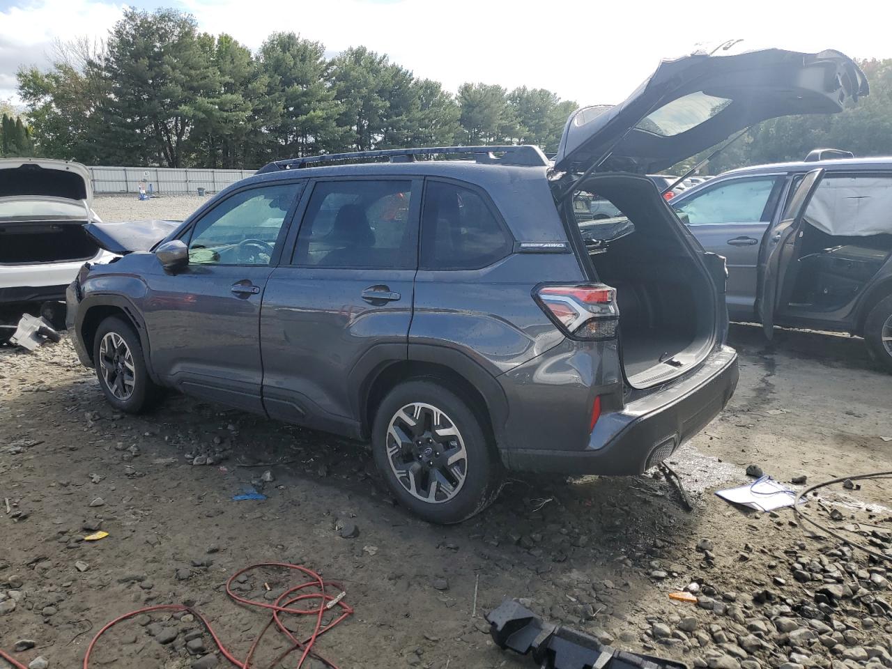 Lot #2952911893 2025 SUBARU FORESTER P