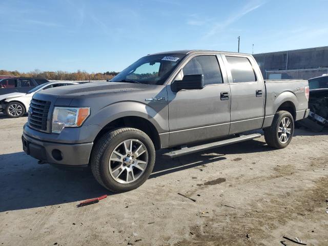 VIN 1FTFW1EF7EFC30473 2014 Ford F-150, Supercrew no.1