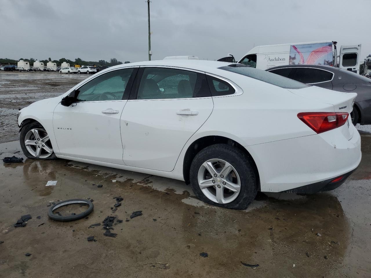 Lot #2991722085 2019 CHEVROLET MALIBU LS