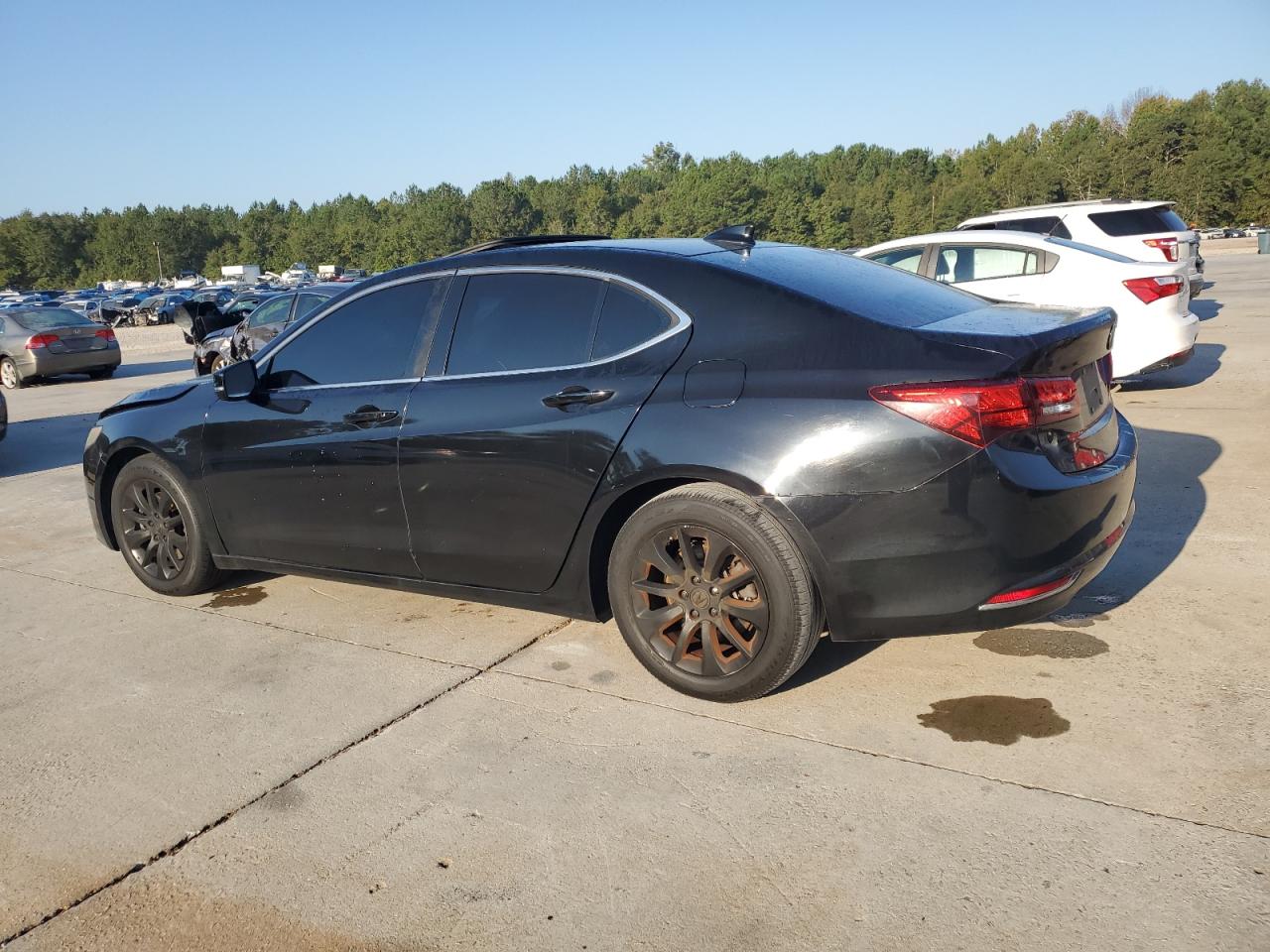 Lot #2907155637 2015 ACURA TLX