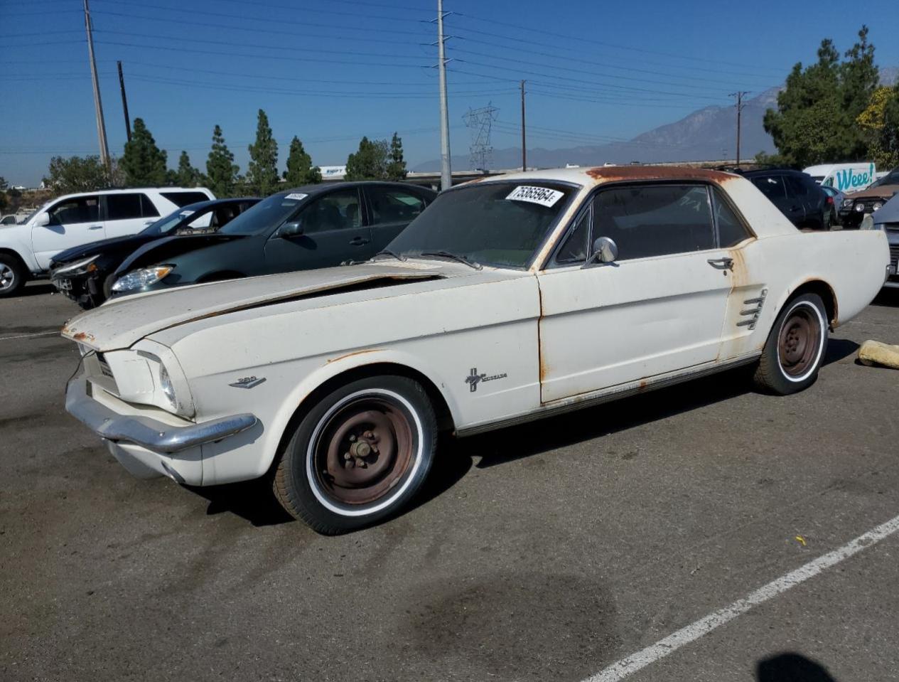 Lot #2986978766 1966 FORD MUSTANG