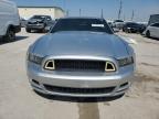 FORD MUSTANG photo