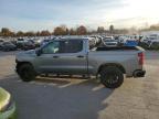 Lot #2937692736 2024 CHEVROLET SILVERADO