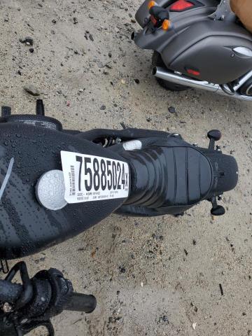 2022 HARLEY-DAVIDSON XL883 N - 1HD4LE217NB407397
