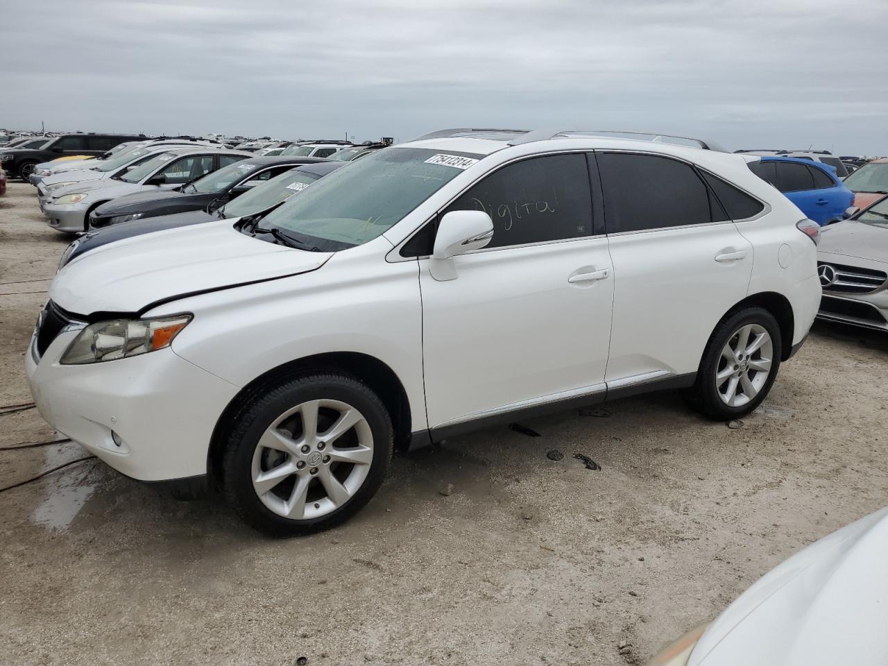 Lot #2940696368 2010 LEXUS RX 350