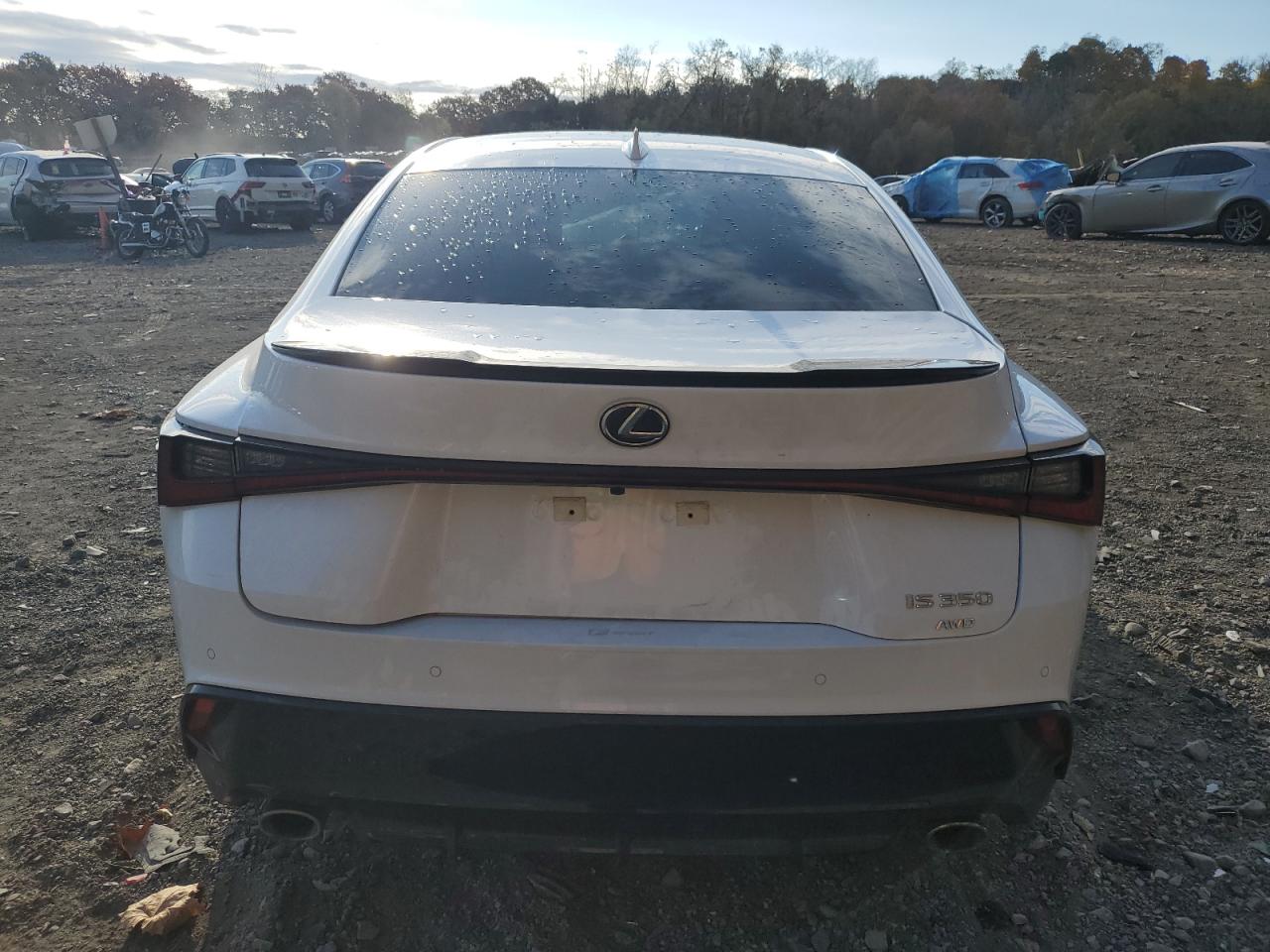 Lot #3025719398 2024 LEXUS IS 350 F S