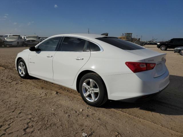 2019 CHEVROLET MALIBU LS - 1G1ZB5ST9KF228562