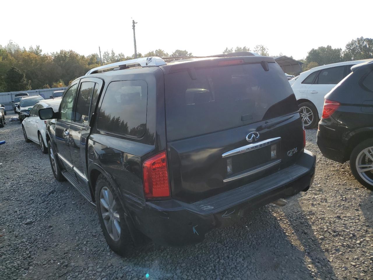 Lot #2955241570 2010 INFINITI QX56