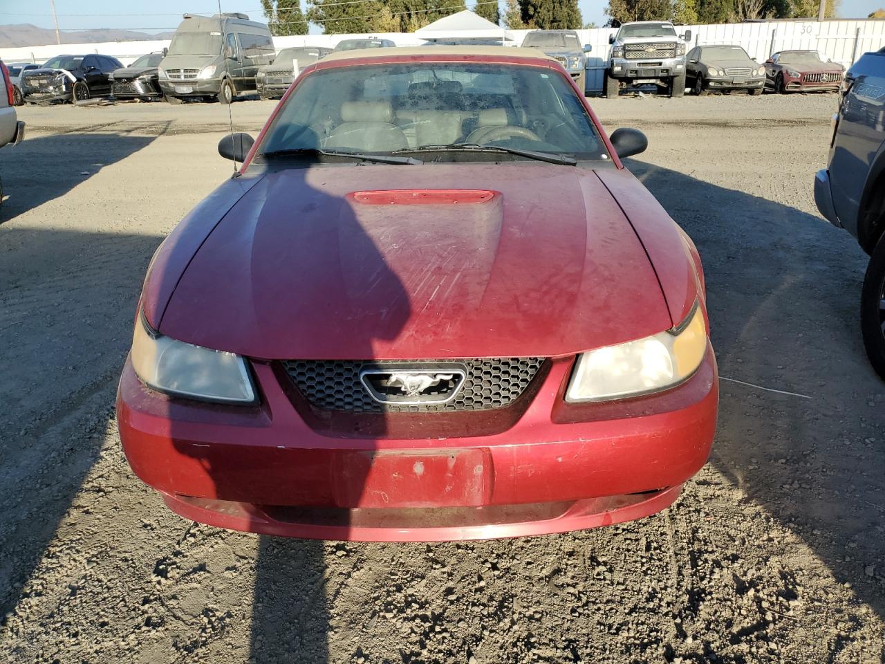 Lot #2948462923 1999 FORD MUSTANG