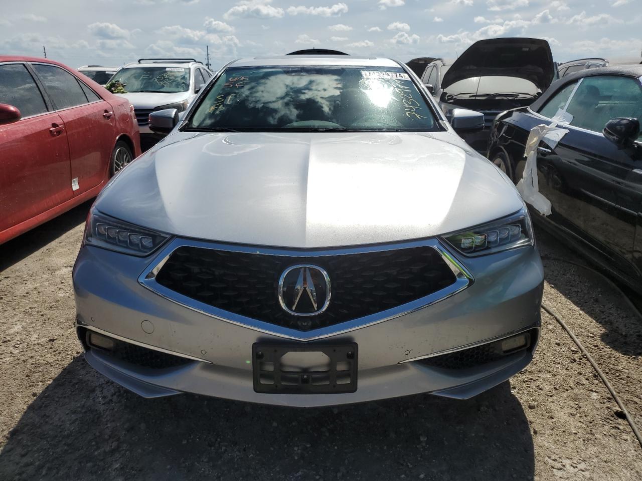 Lot #2989300263 2019 ACURA TLX ADVANC