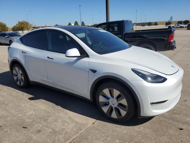 2023 TESLA MODEL Y - 7SAYGDEE5PF669888