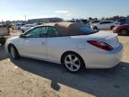 Lot #2960419141 2006 TOYOTA CAMRY SOLA