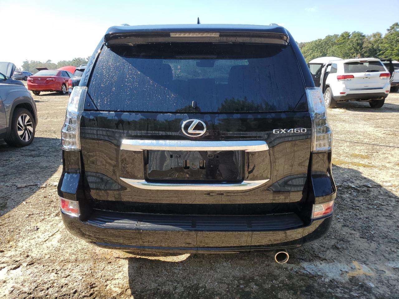 Lot #2981246815 2023 LEXUS GX 460