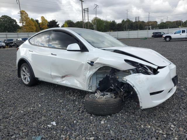2024 TESLA MODEL Y - 7SAYGDEE1RF084714