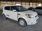 KIA SOUL + photo