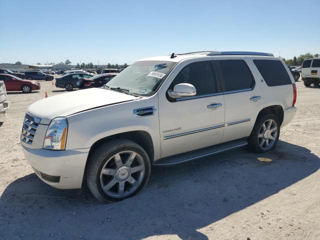 2010 CADILLAC ESCALADE H #2923259545