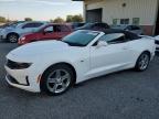 2019 CHEVROLET CAMARO LS - 1G1FB3DS5K0124181