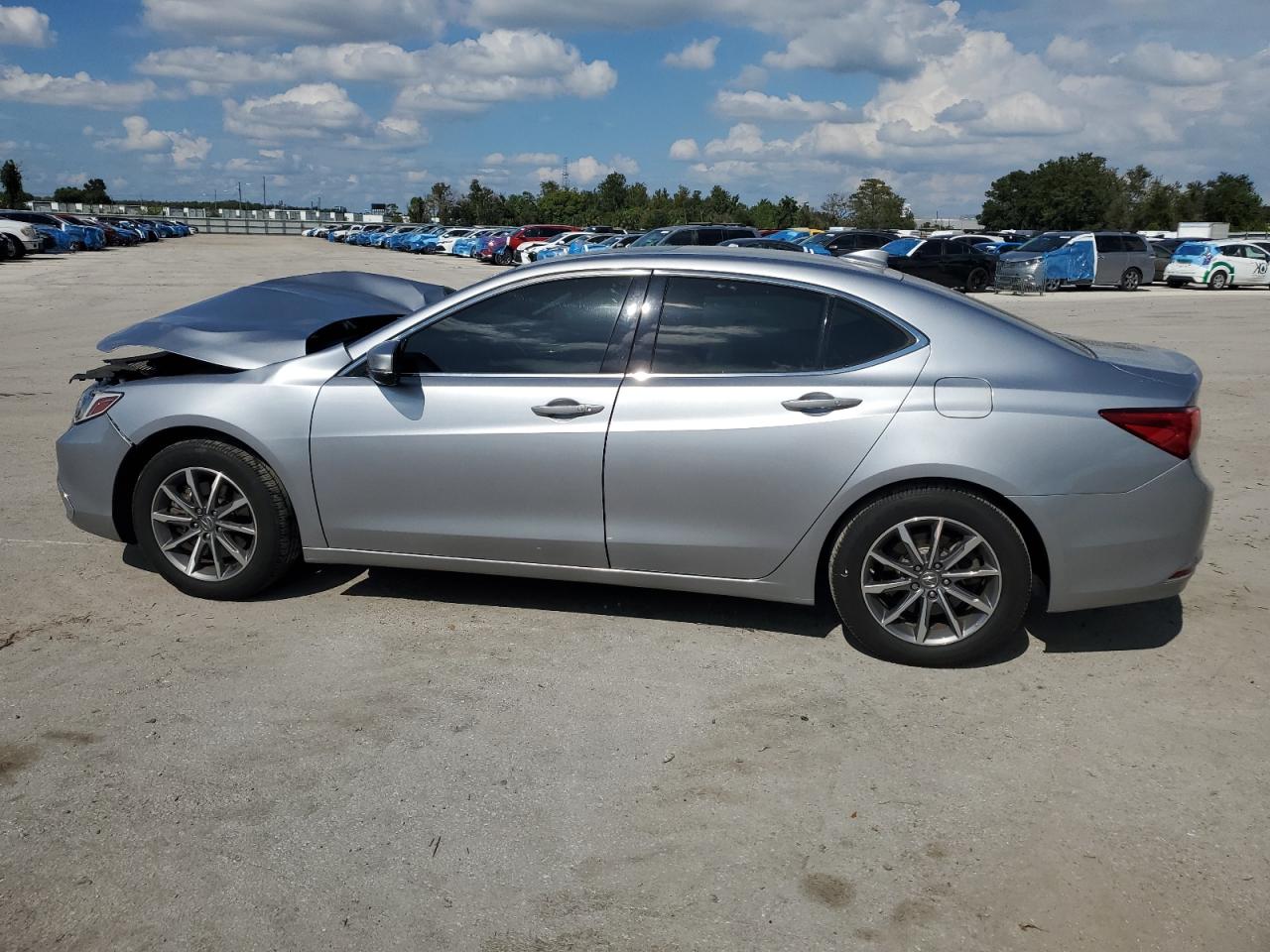 Lot #3029638073 2019 ACURA TLX TECHNO