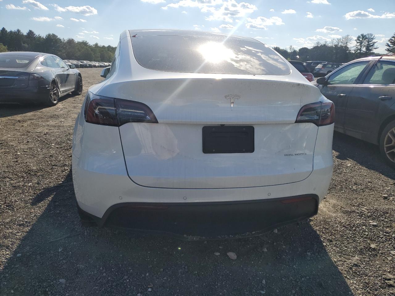 Lot #2962553818 2022 TESLA MODEL Y