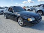 Lot #3024310009 1999 MERCEDES-BENZ SL 500