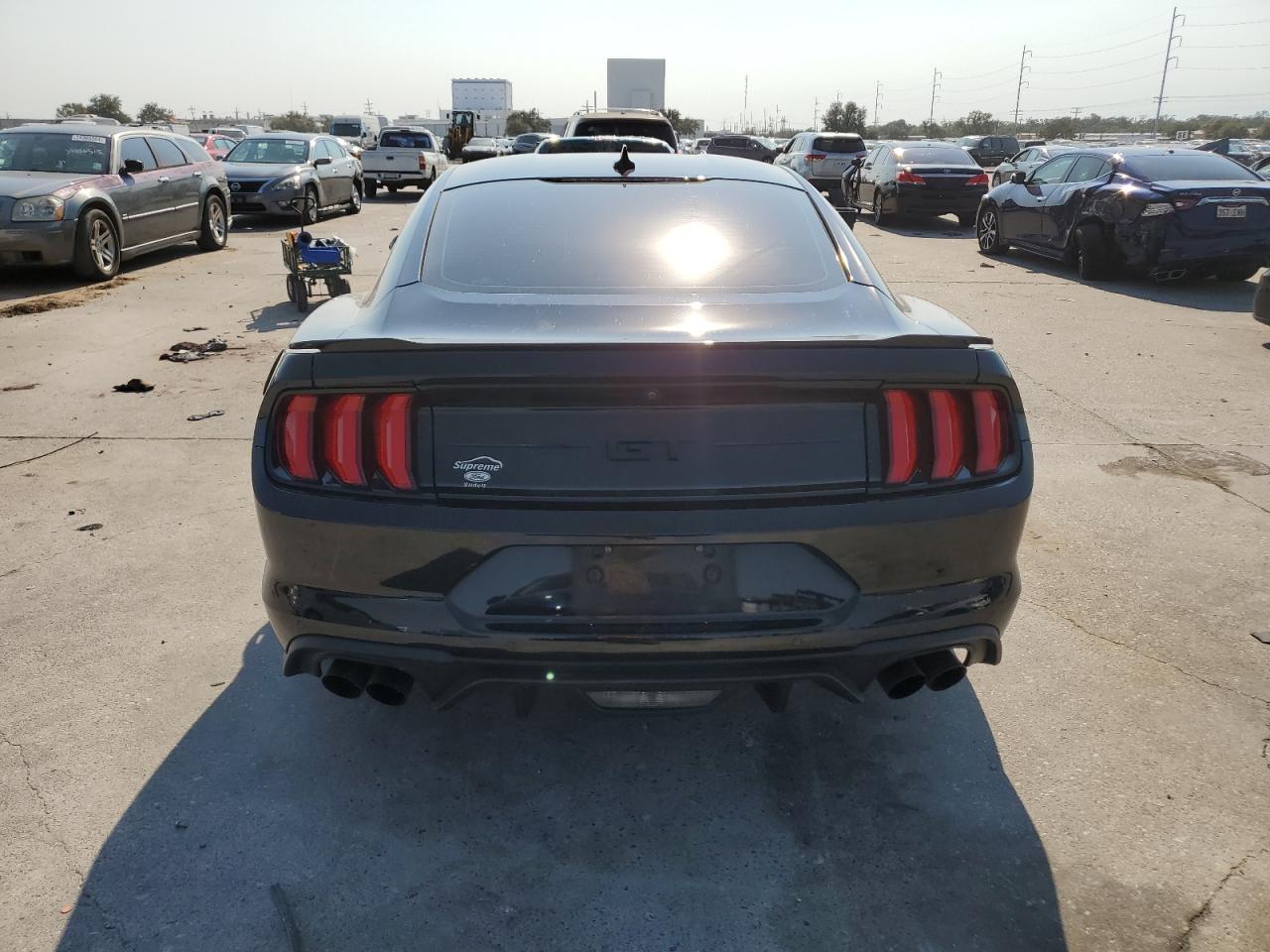 Lot #2989202728 2023 FORD MUSTANG GT