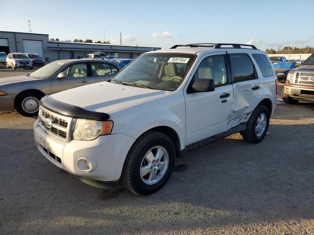 2009 FORD ESCAPE XLT #2991526860