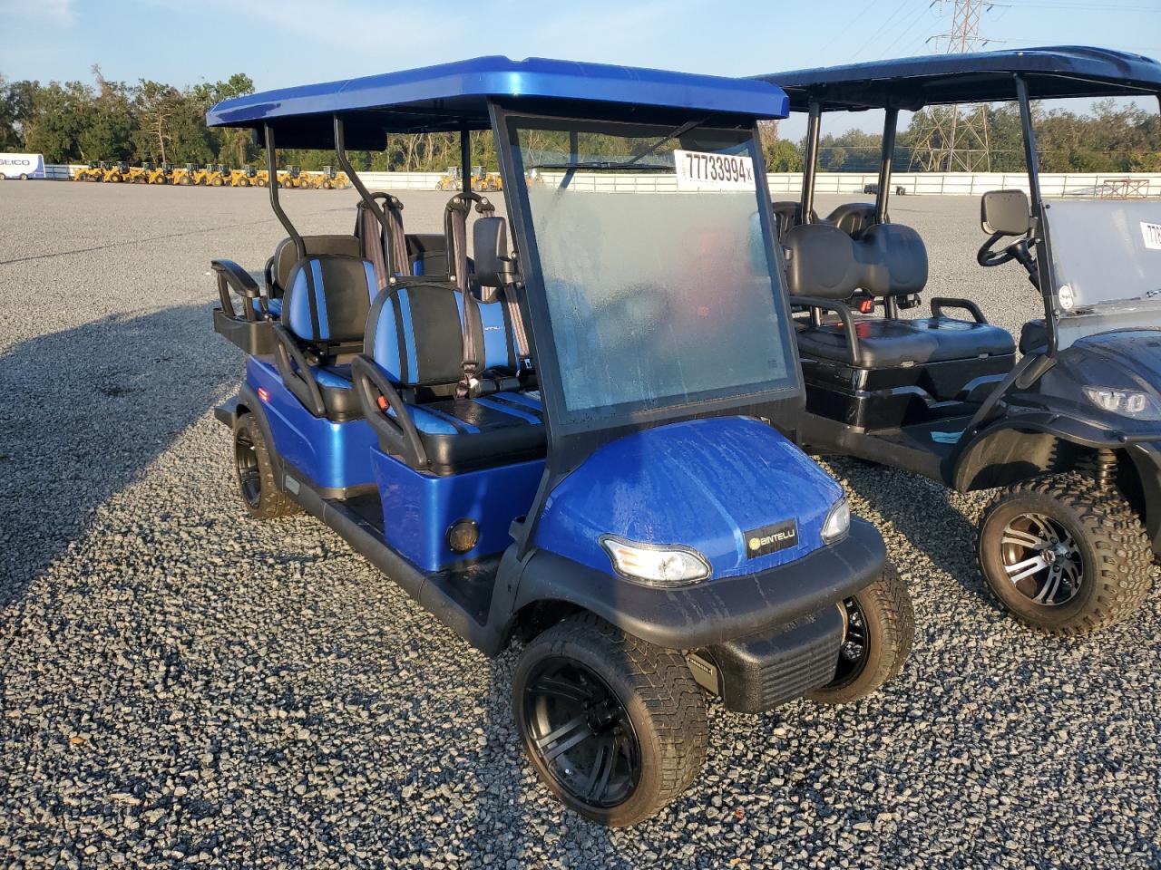 Lot #3048079880 2022 GOLF CART