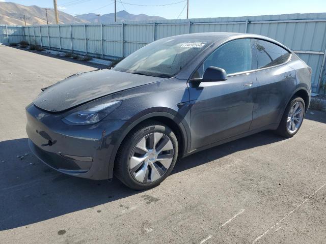 2024 TESLA MODEL Y #2972455679