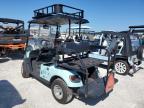 Lot #3027162291 2019 ASPT GOLF CART