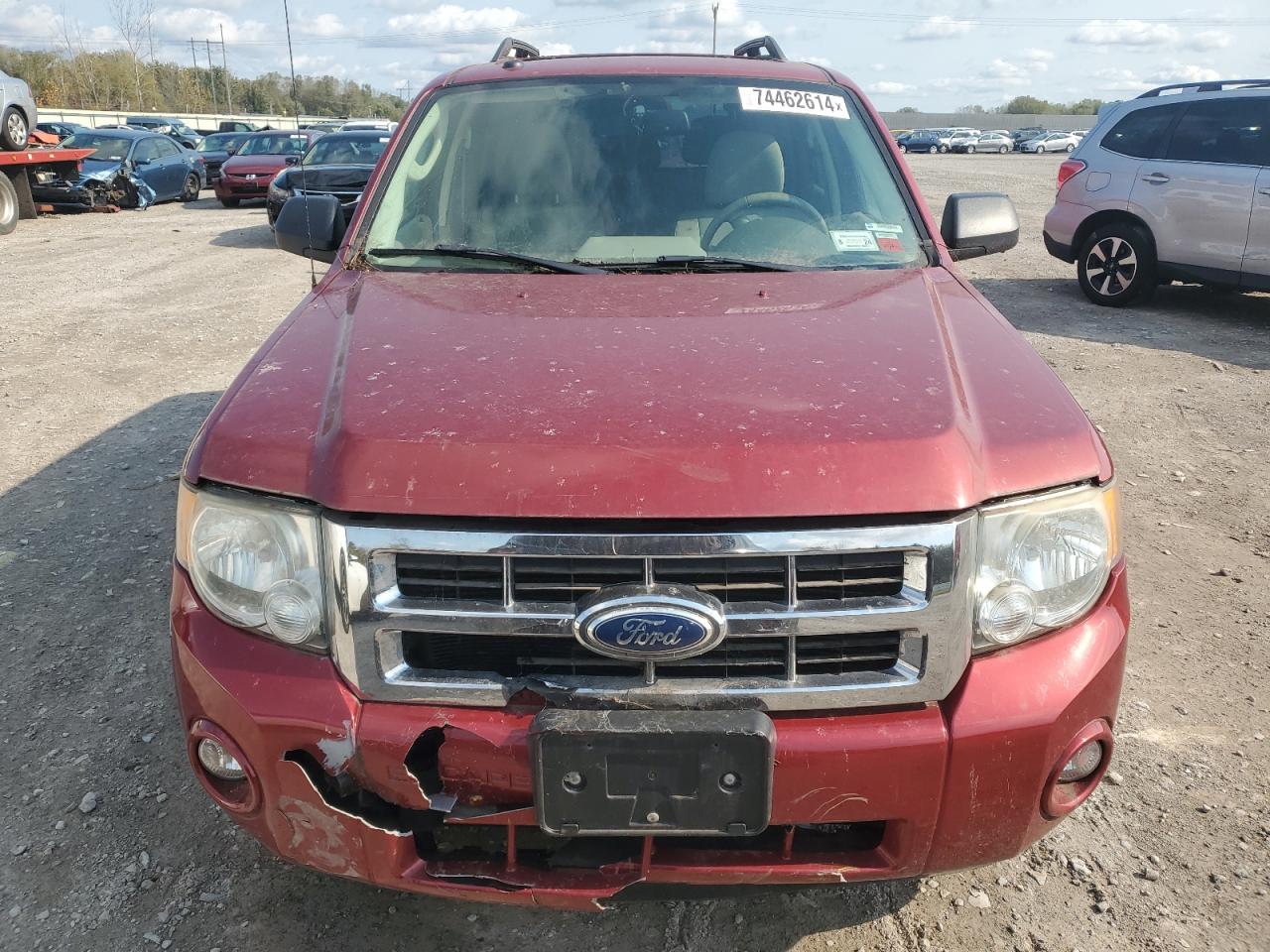 Lot #2962273006 2012 FORD ESCAPE XLT