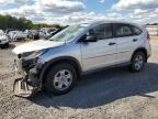 2016 HONDA CR-V LX - 2HKRM3H31GH570209