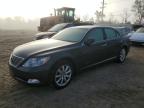 Lot #3025055204 2007 LEXUS LS 460