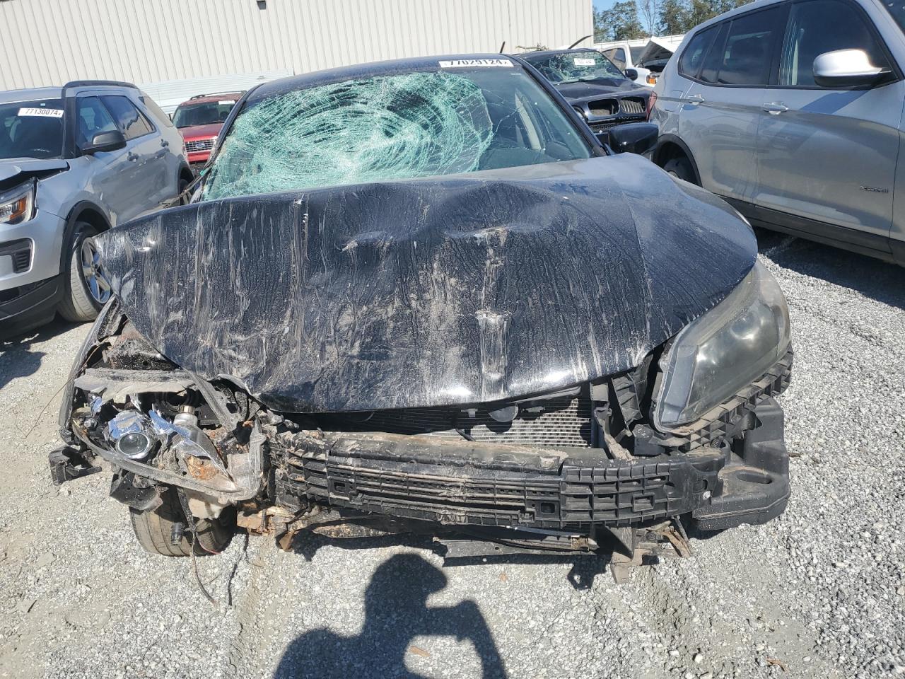 Lot #2977041570 2014 HONDA ACCORD SPO