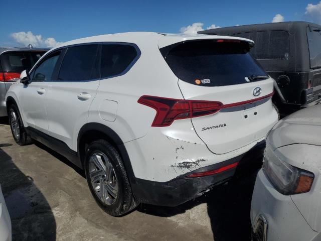 VIN 5NMS14AJ5PH498016 2023 Hyundai Santa Fe, SE no.2