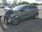 Lot #2907384065 2016 FORD ESCAPE SE