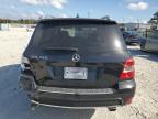 Lot #3025125204 2012 MERCEDES-BENZ GLK 350